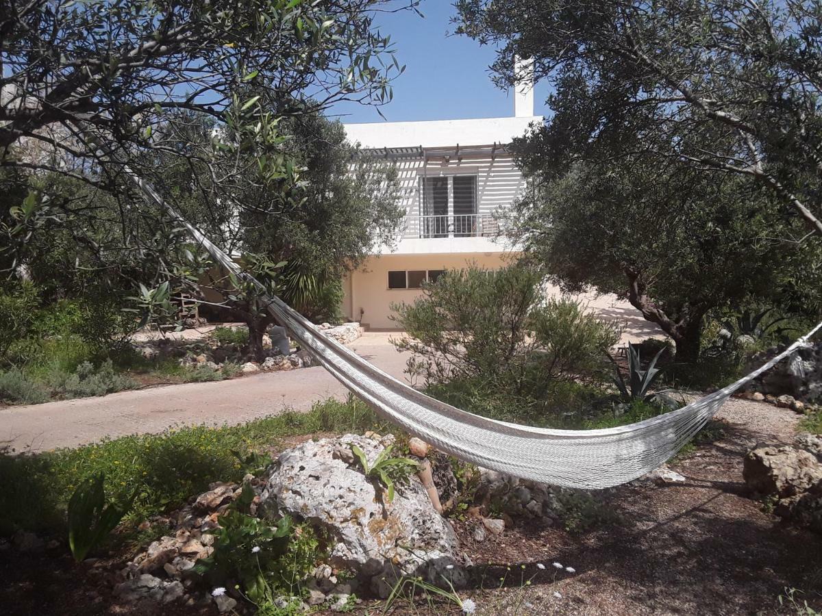 Alpha House Hotel Plaka  Exterior photo